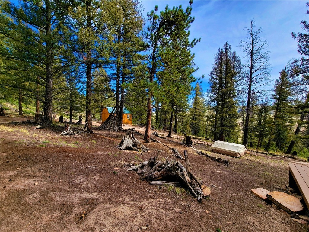 198 Middle Fork Vista Fairplay CO 80440