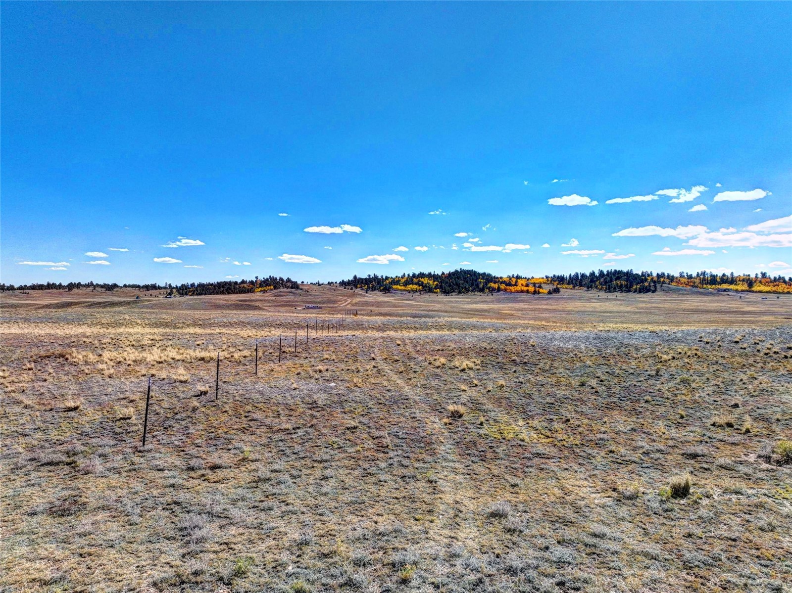 236 Cheyenne Trail Hartsel CO 80449