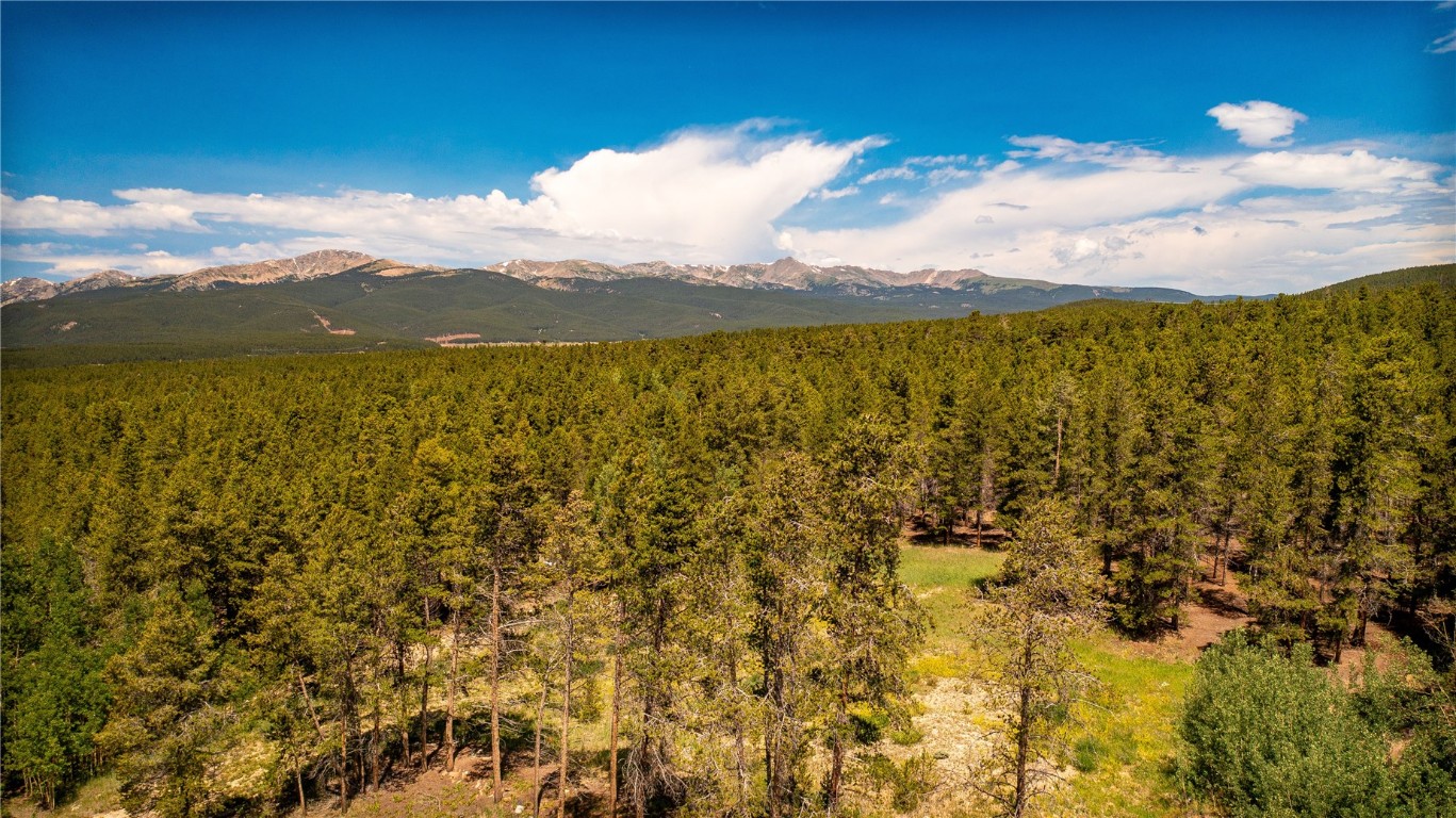 609 Mountain View Drive Leadville CO 80461