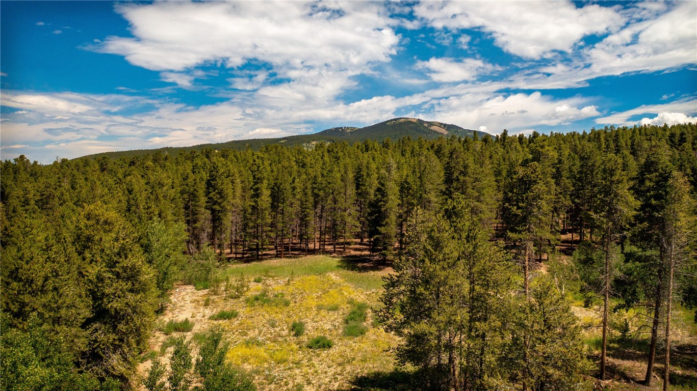 609 Mountain View Drive Leadville CO 80461