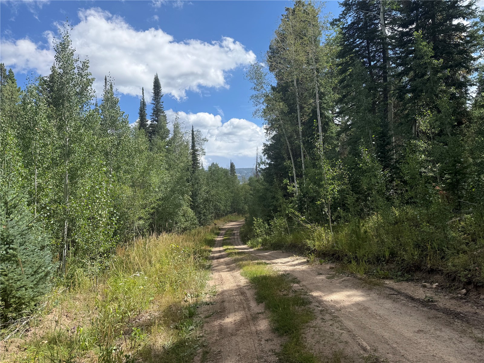 Lot 16 Colt Trail Oak Creek CO 80467