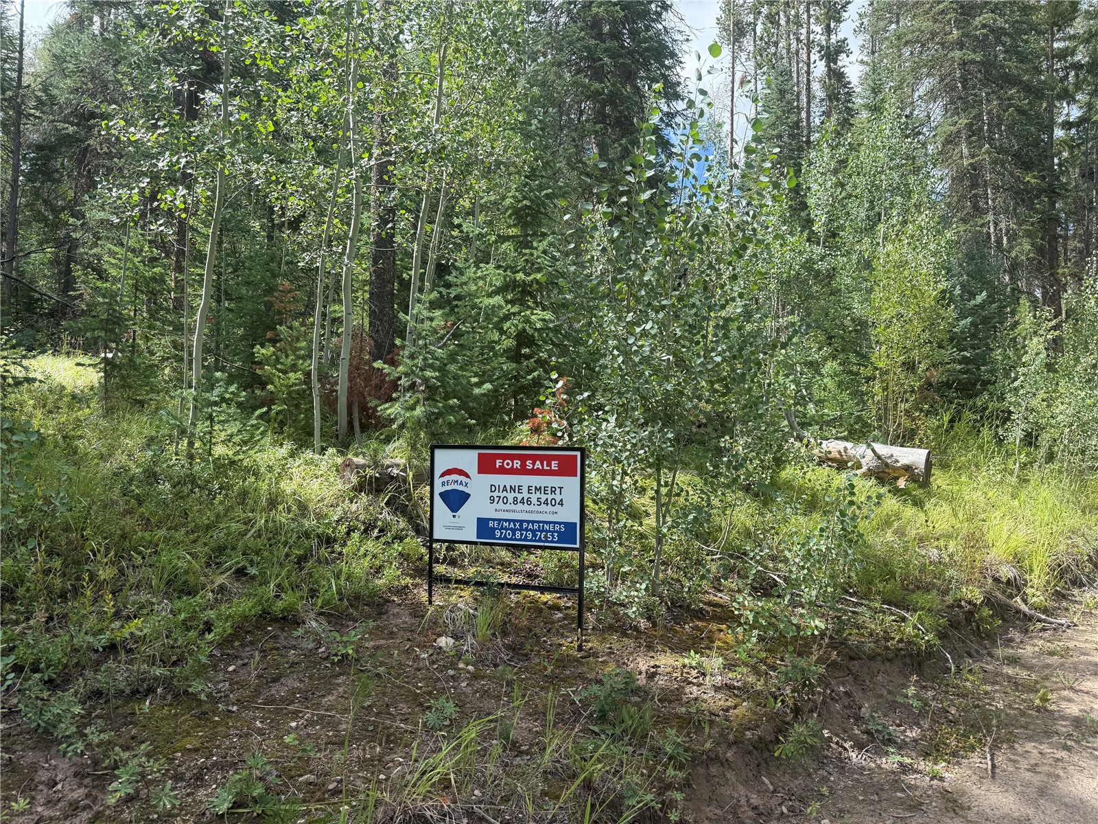 Lot 16 Colt Trail Oak Creek CO 80467