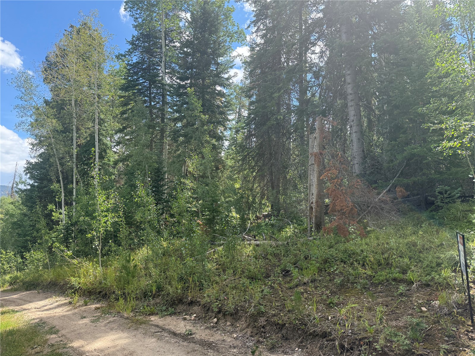 Lot 16 Colt Trail Oak Creek CO 80467