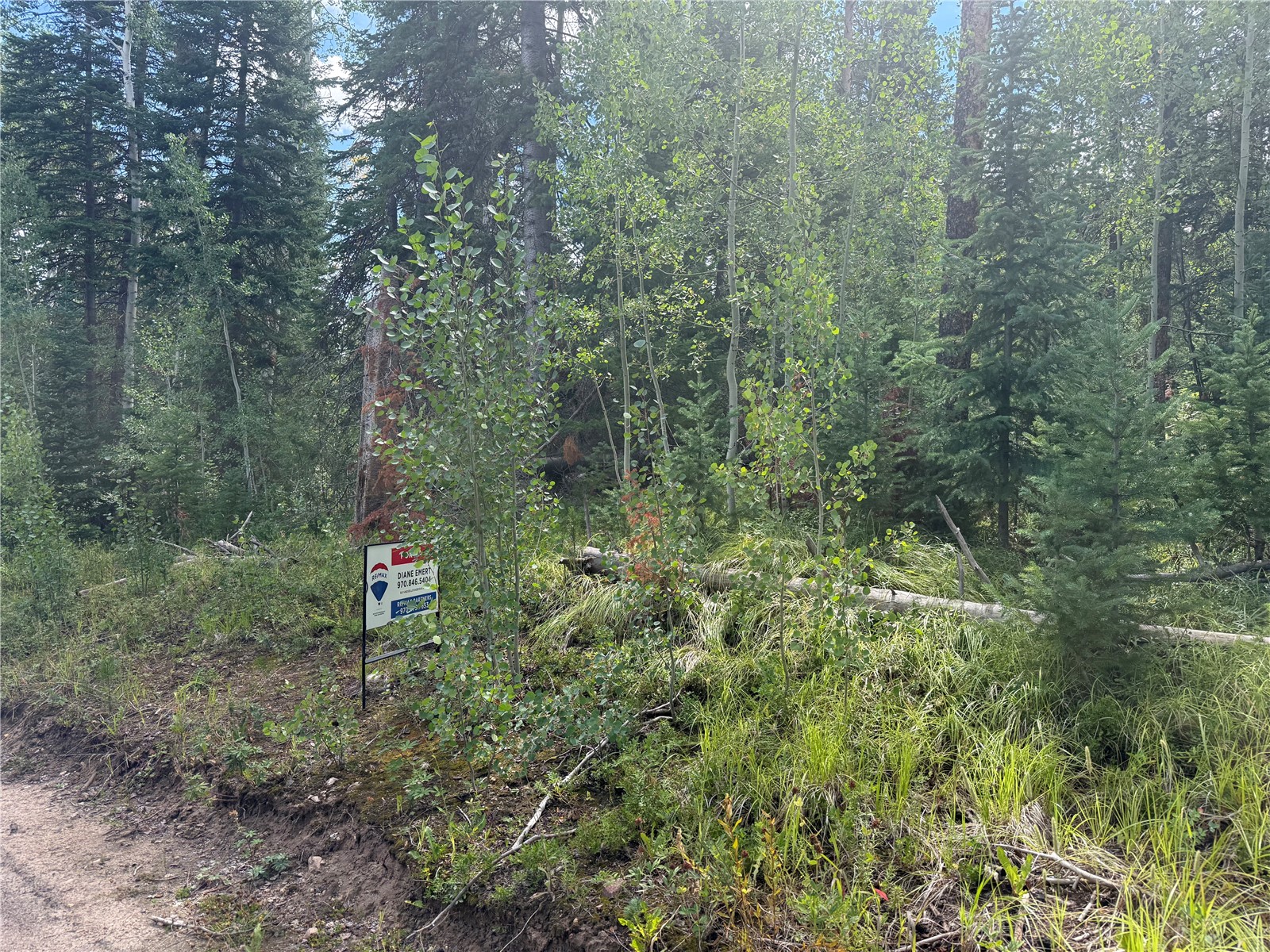 Lot 16 Colt Trail Oak Creek CO 80467