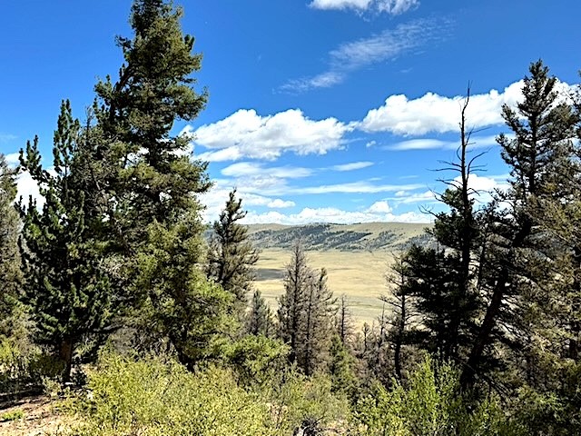 2022 Middle Fork Fairplay CO 80440
