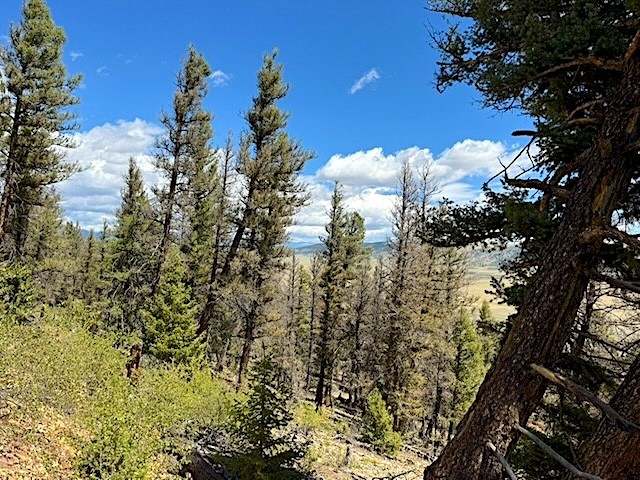 2022 Middle Fork Fairplay CO 80440