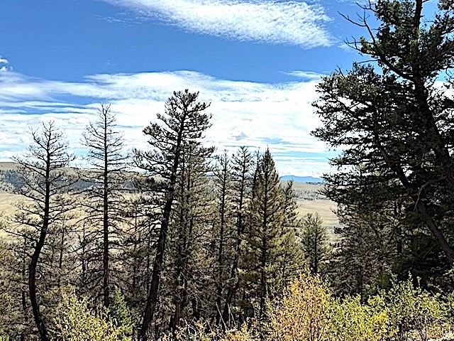 2022 Middle Fork Fairplay CO 80440