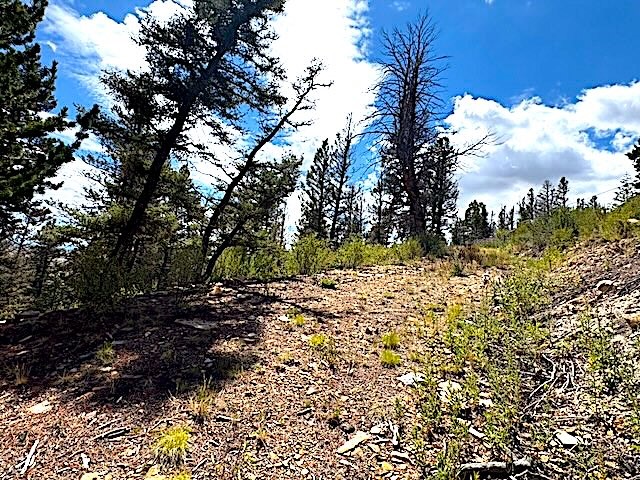 2022 Middle Fork Fairplay CO 80440
