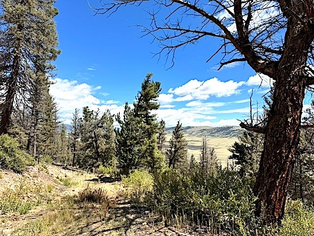 2022 Middle Fork Fairplay CO 80440