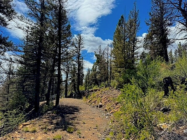 2022 Middle Fork Fairplay CO 80440