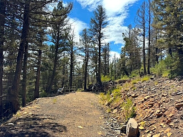 2022 Middle Fork Fairplay CO 80440