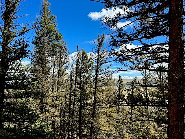 2022 Middle Fork Fairplay CO 80440