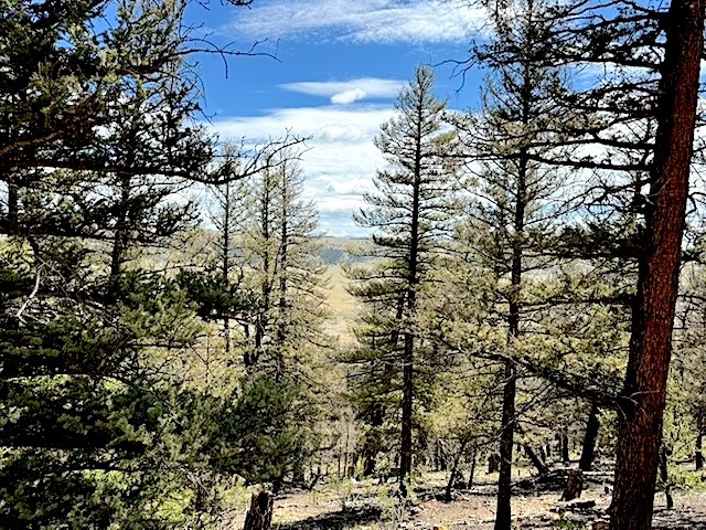 2022 Middle Fork Fairplay CO 80440