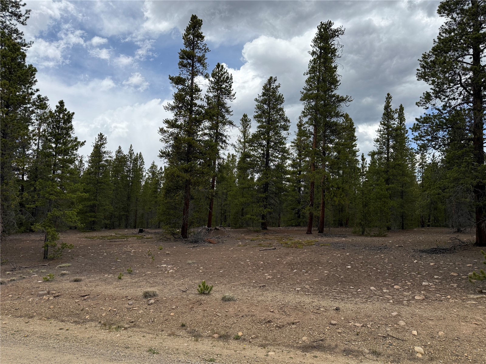 201 Snowshoe Rabbit Drive Leadville CO 80461