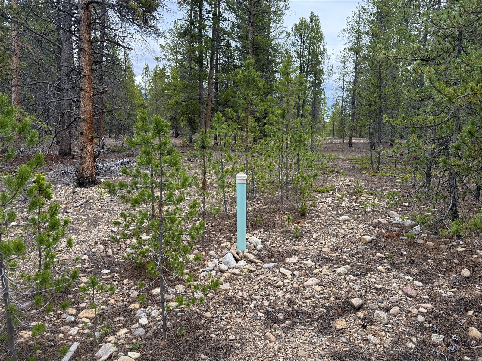 201 Snowshoe Rabbit Drive Leadville CO 80461