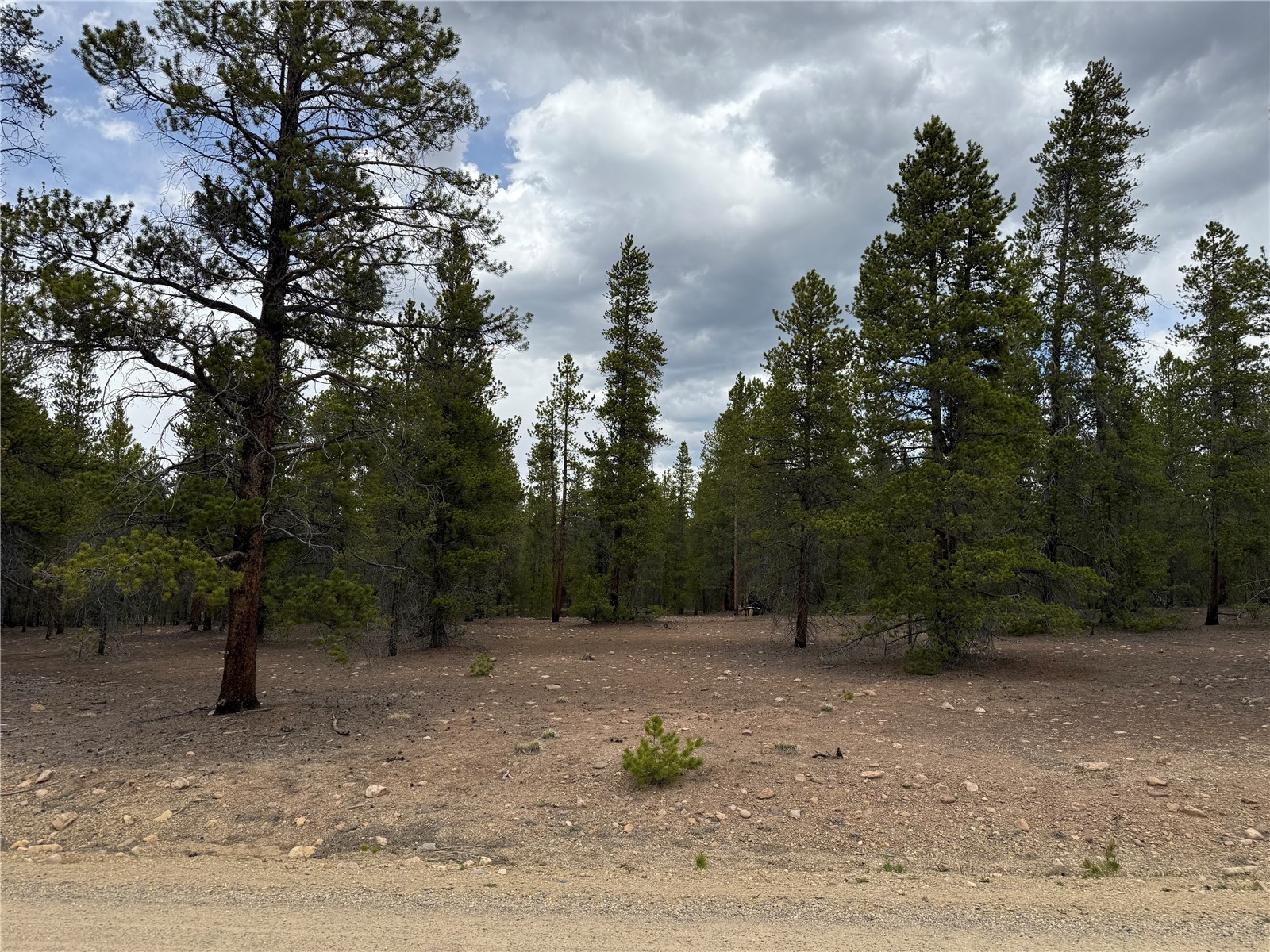 201 Snowshoe Rabbit Drive Leadville CO 80461