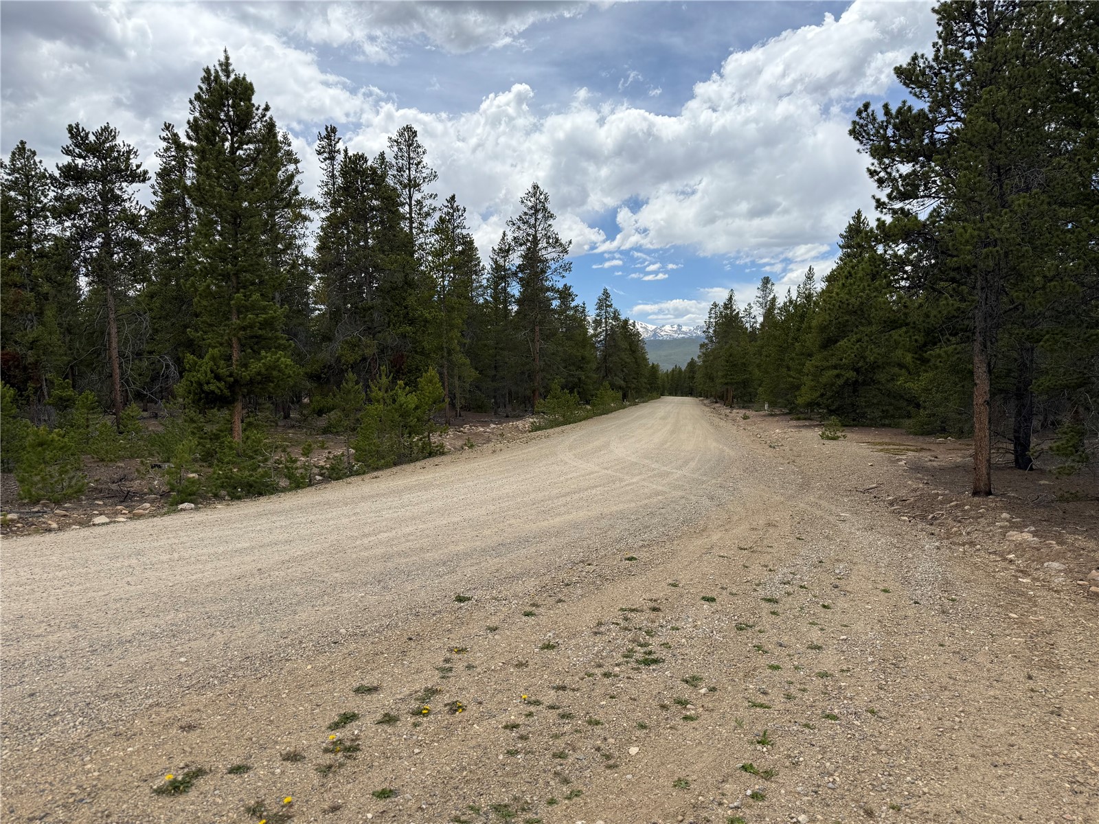 201 Snowshoe Rabbit Drive Leadville CO 80461