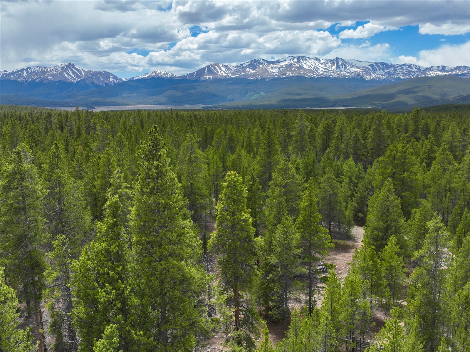 201 Snowshoe Rabbit Drive Leadville CO 80461