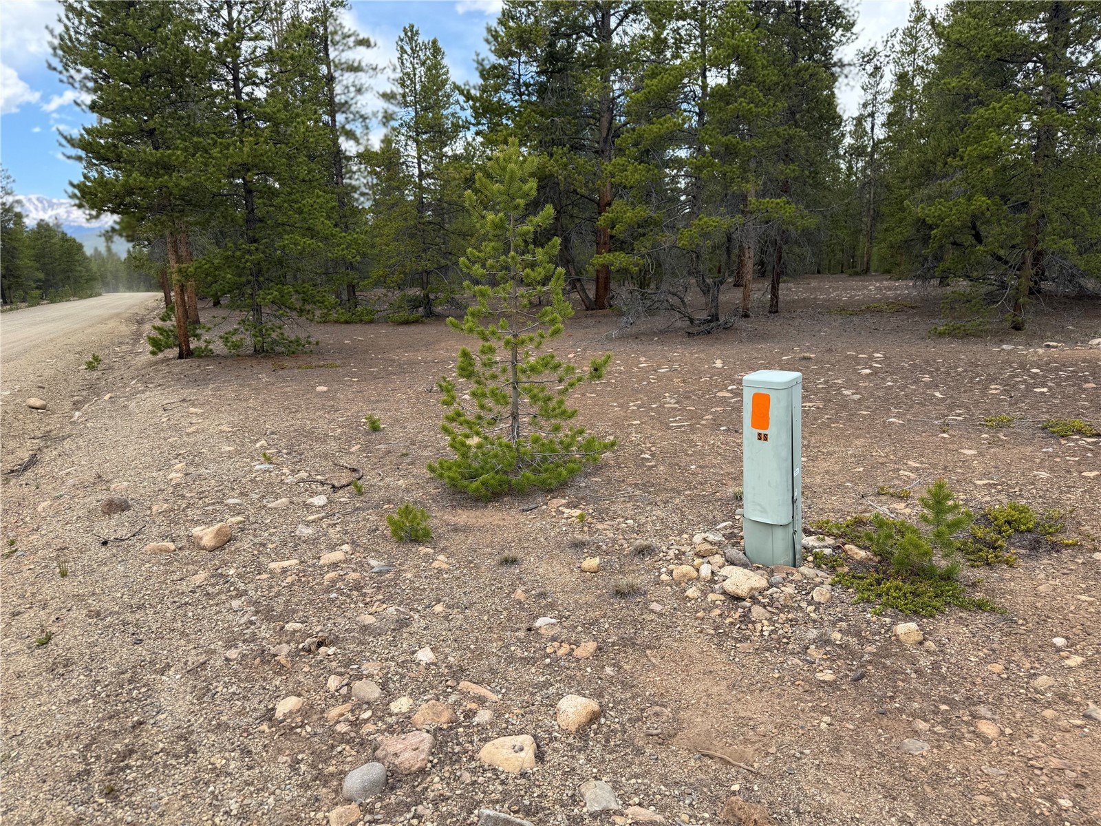 201 Snowshoe Rabbit Drive Leadville CO 80461
