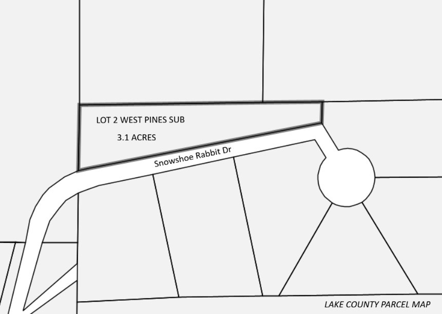 201 Snowshoe Rabbit Drive Leadville CO 80461