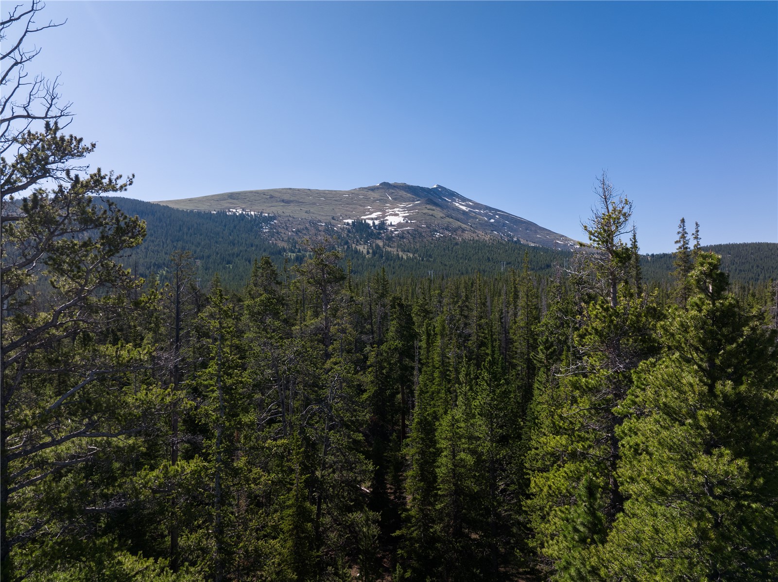 Homestead 16 Cumberland Drive Breckenridge CO 80424