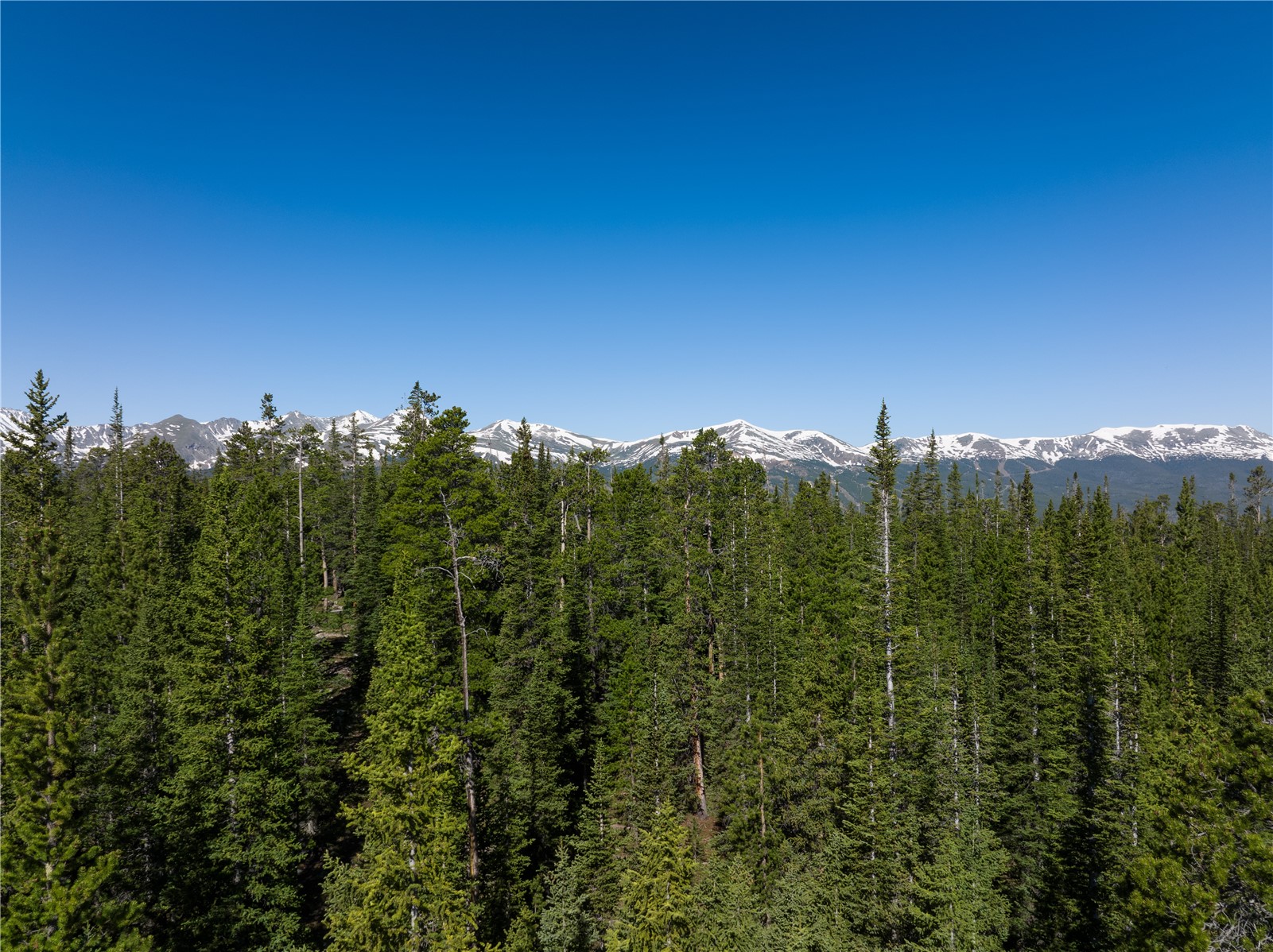 Homestead 16 Cumberland Drive Breckenridge CO 80424