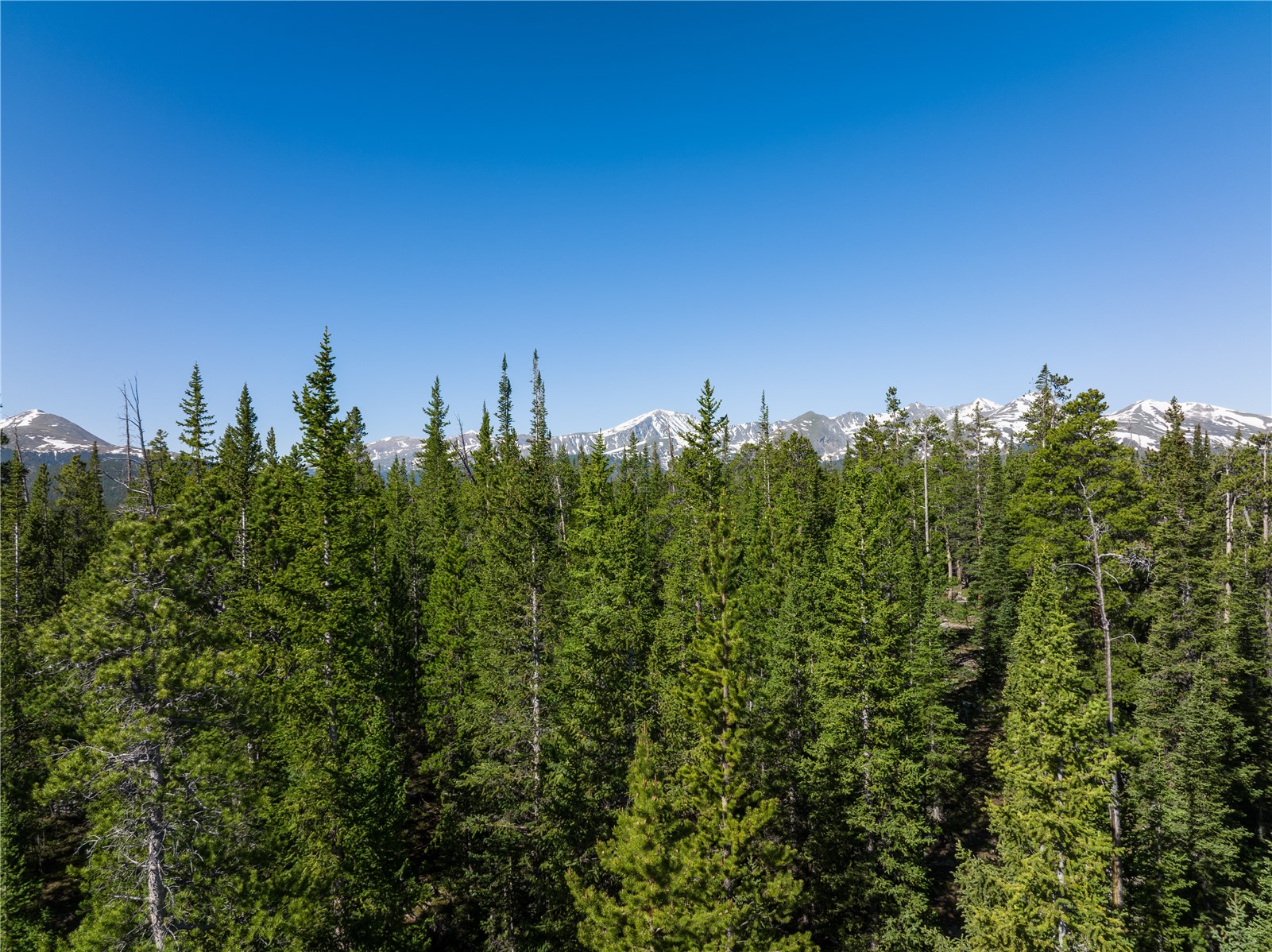 Homestead 16 Cumberland Drive Breckenridge CO 80424