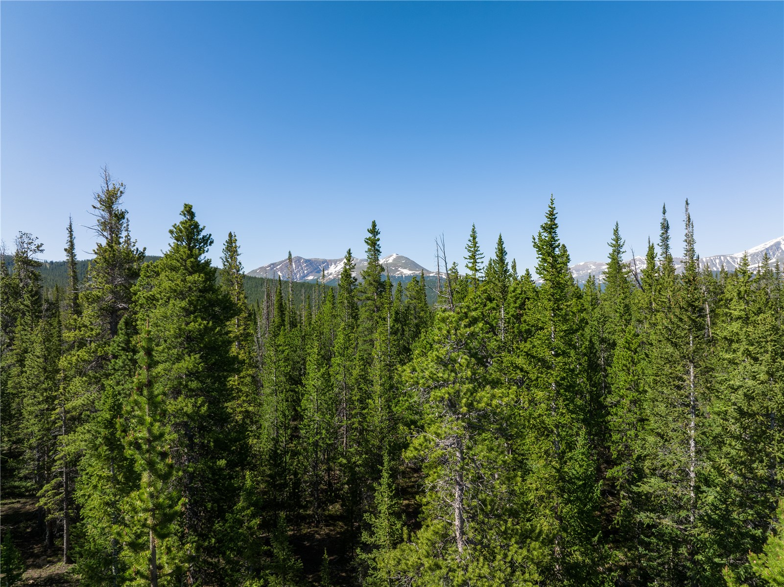 Homestead 16 Cumberland Drive Breckenridge CO 80424