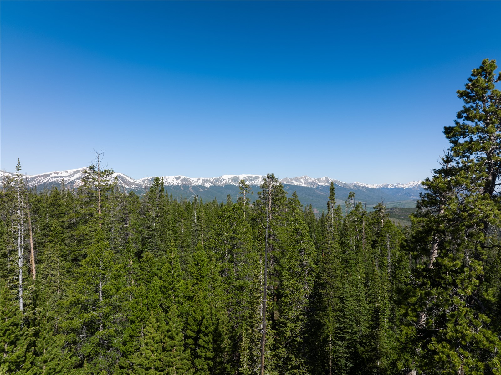 Homestead 16 Cumberland Drive Breckenridge CO 80424