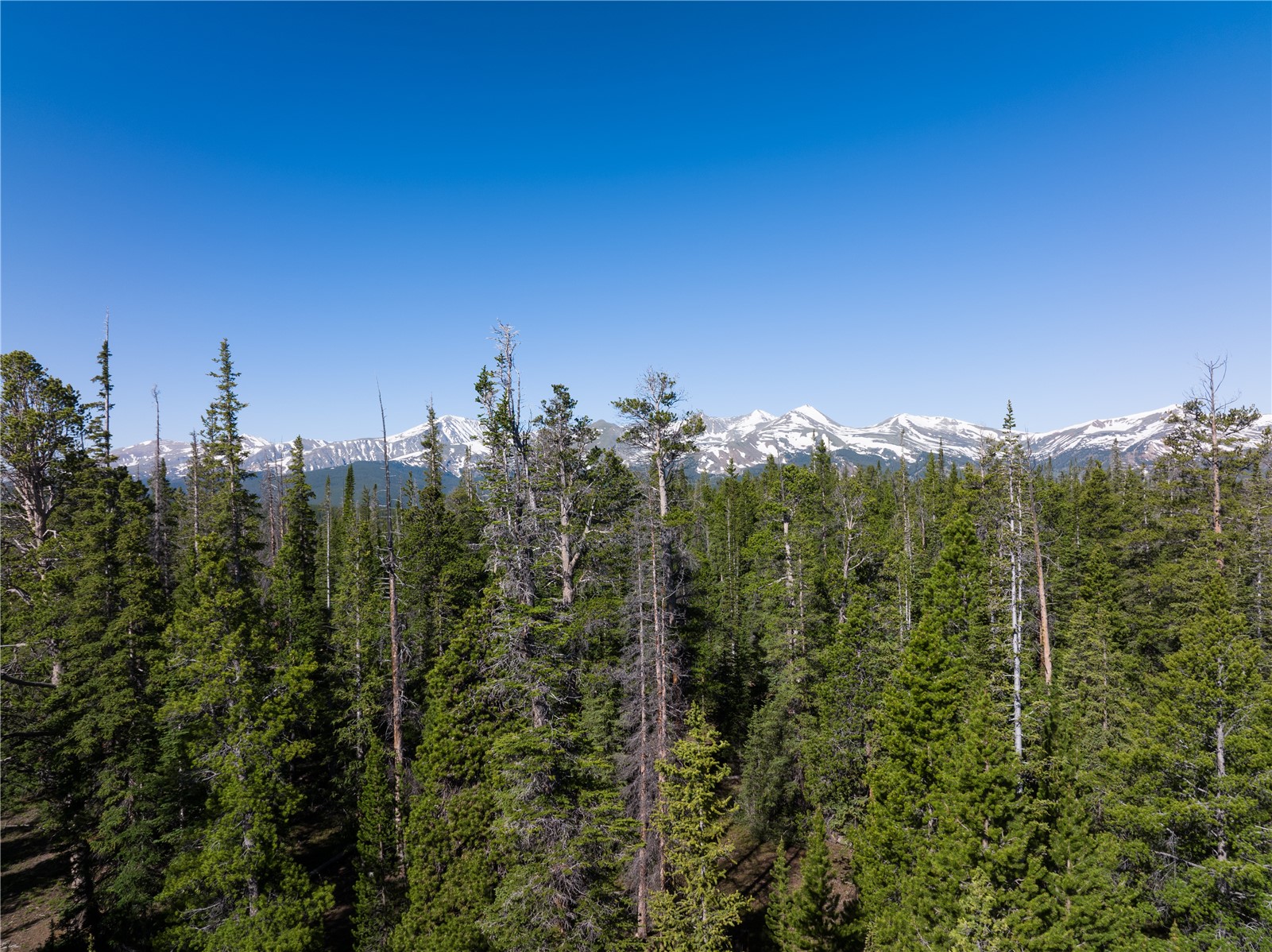 Homestead 16 Cumberland Drive Breckenridge CO 80424