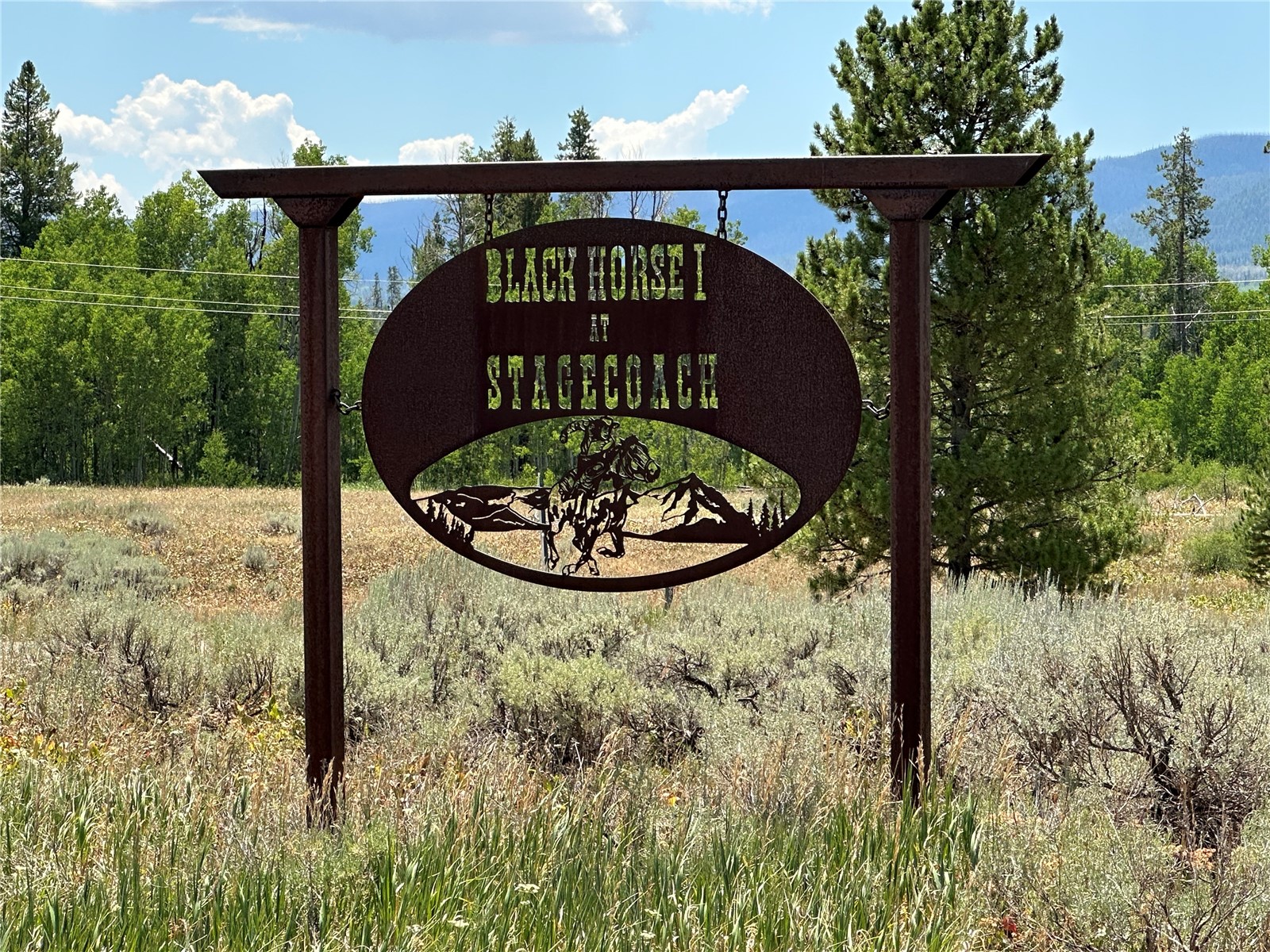 20810 Filly Trail Oak Creek CO 80467