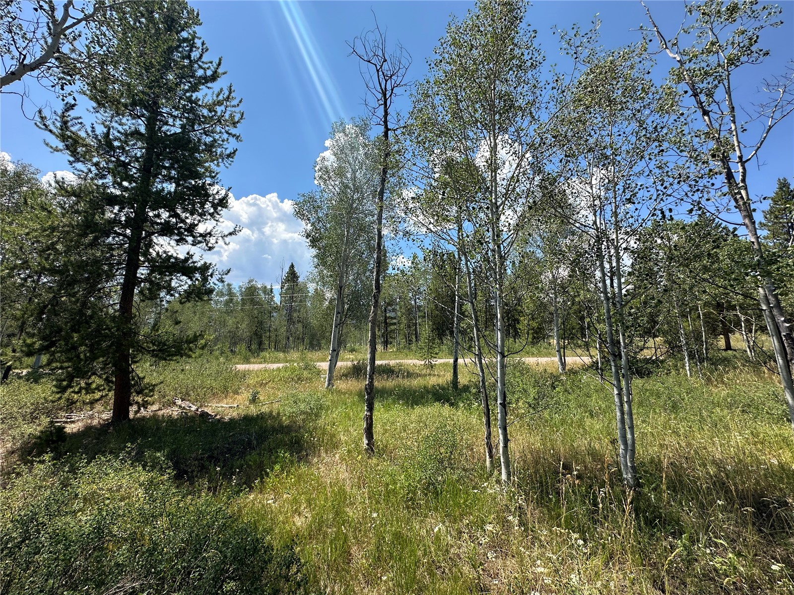 20810 Filly Trail Oak Creek CO 80467