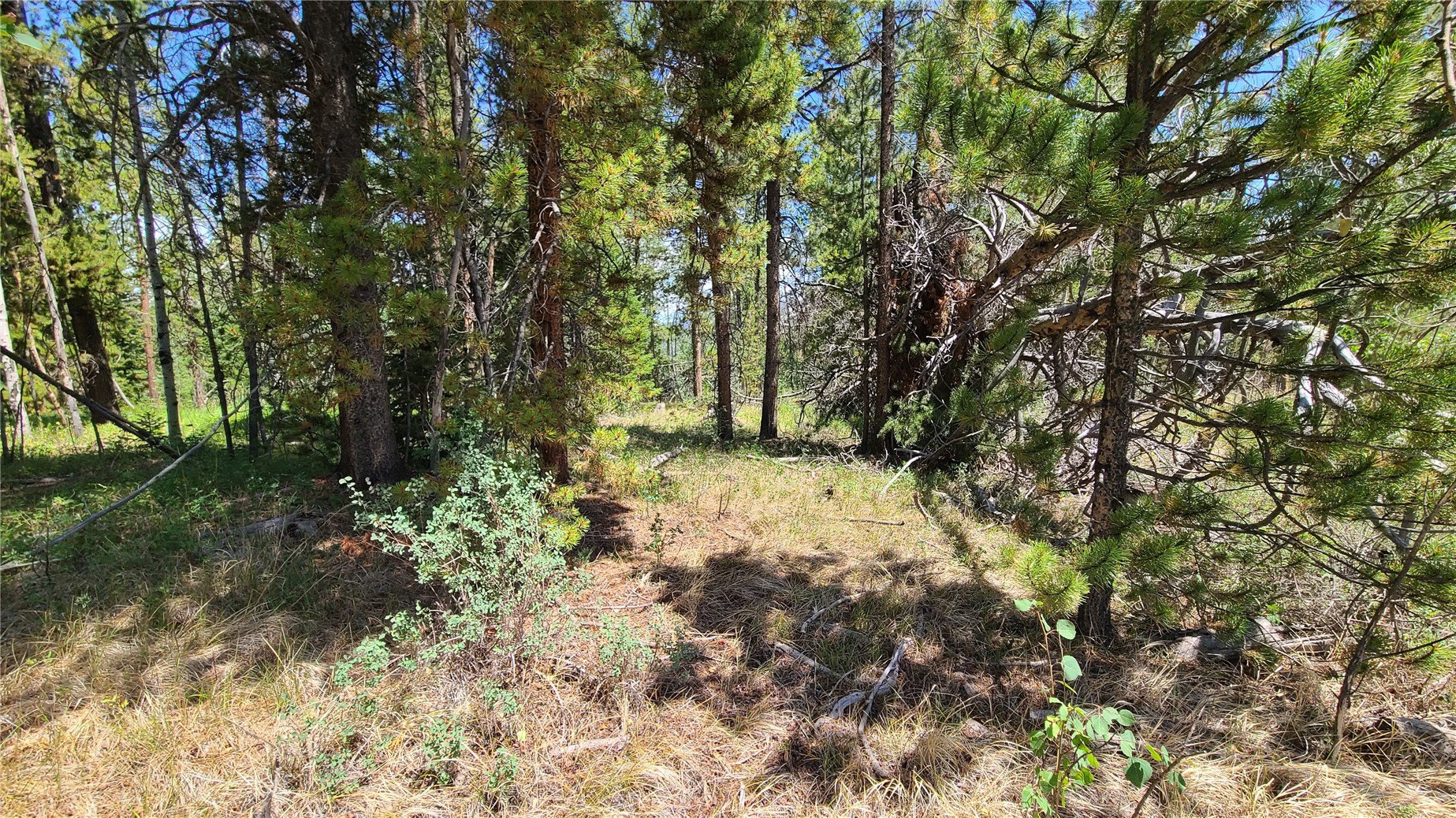 20810 Filly Trail Oak Creek CO 80467