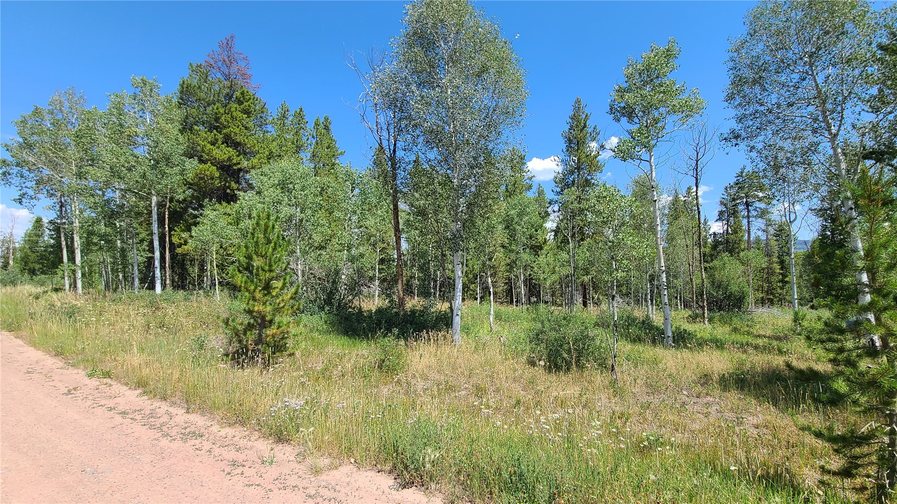 20810 Filly Trail Oak Creek CO 80467