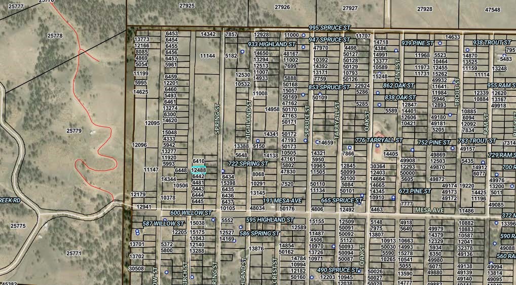 00000 Birch Street Hartsel CO 80449