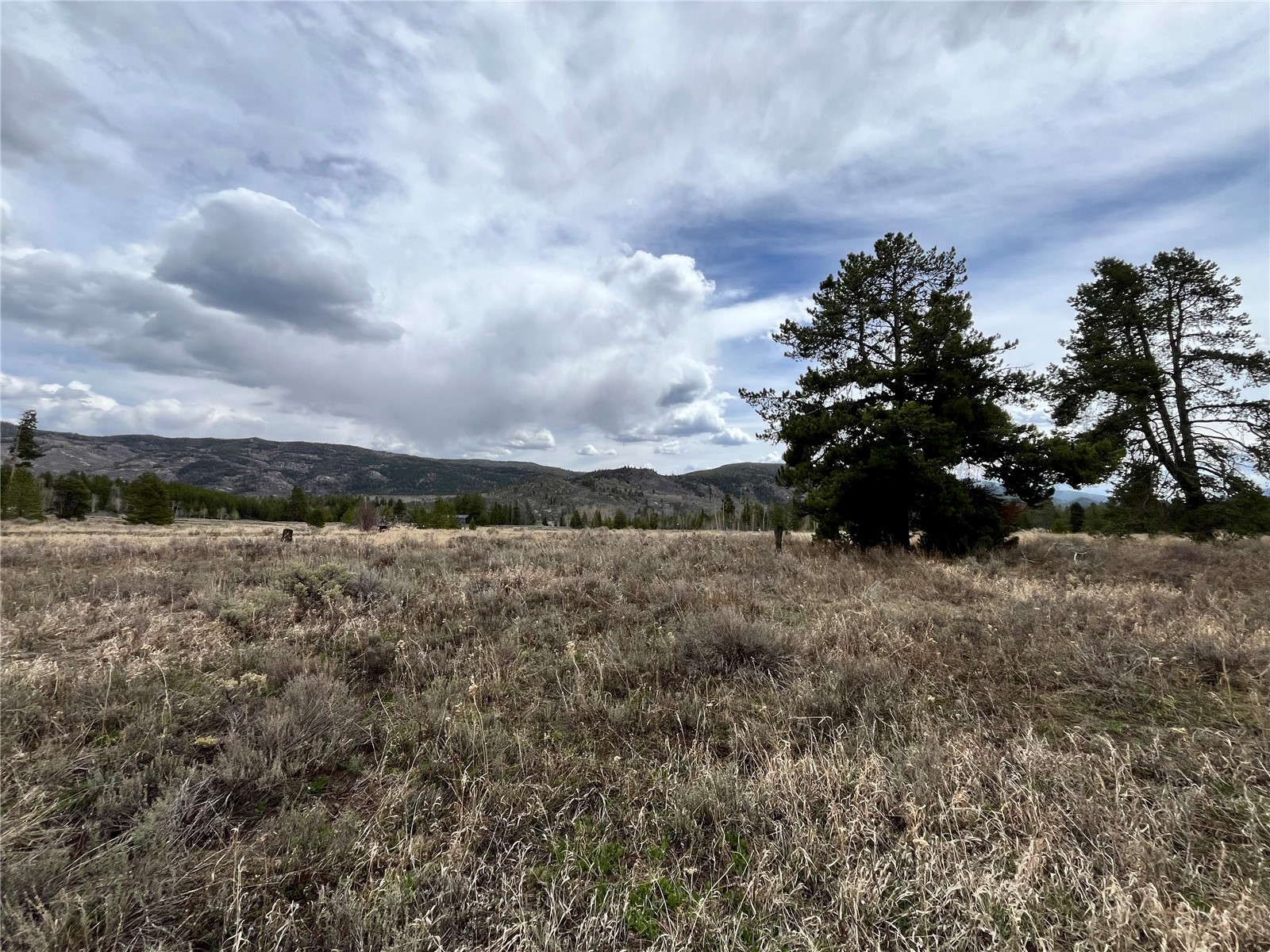 33505 Seneca Trail Oak Creek CO 80467