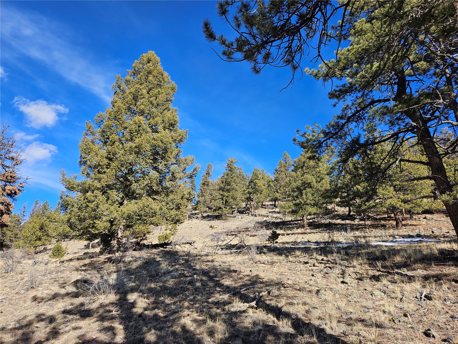 Lot 395 Bonell Drive Fairplay CO 80440