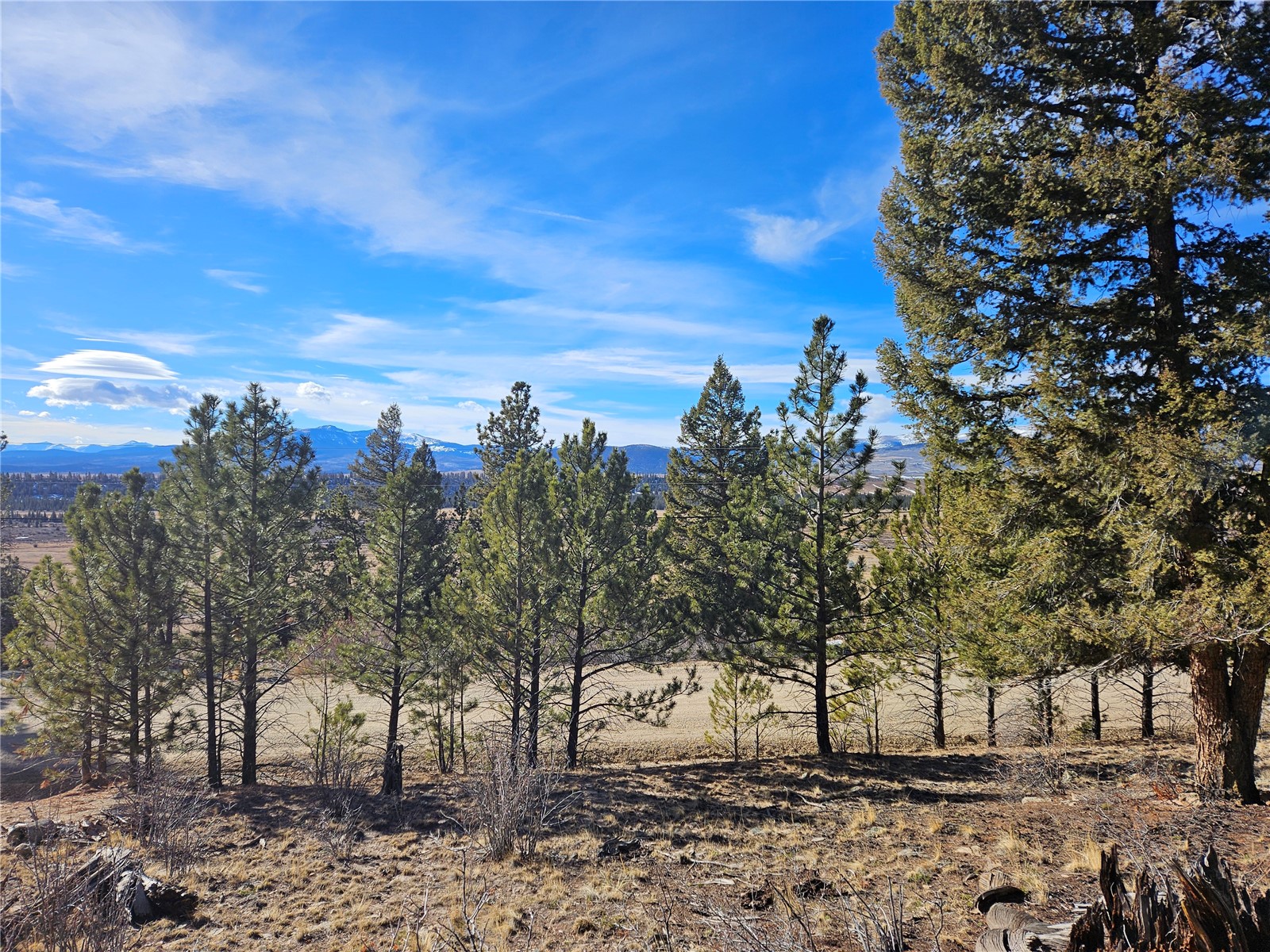Lot 395 Bonell Drive Fairplay CO 80440
