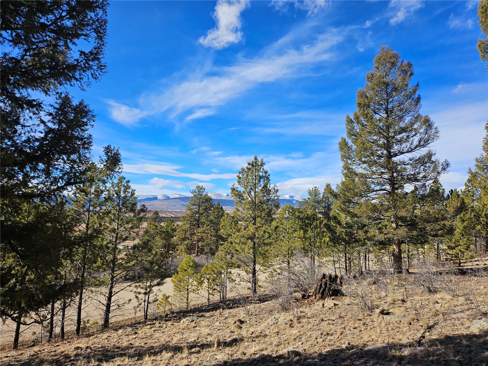 Lot 395 Bonell Drive Fairplay CO 80440