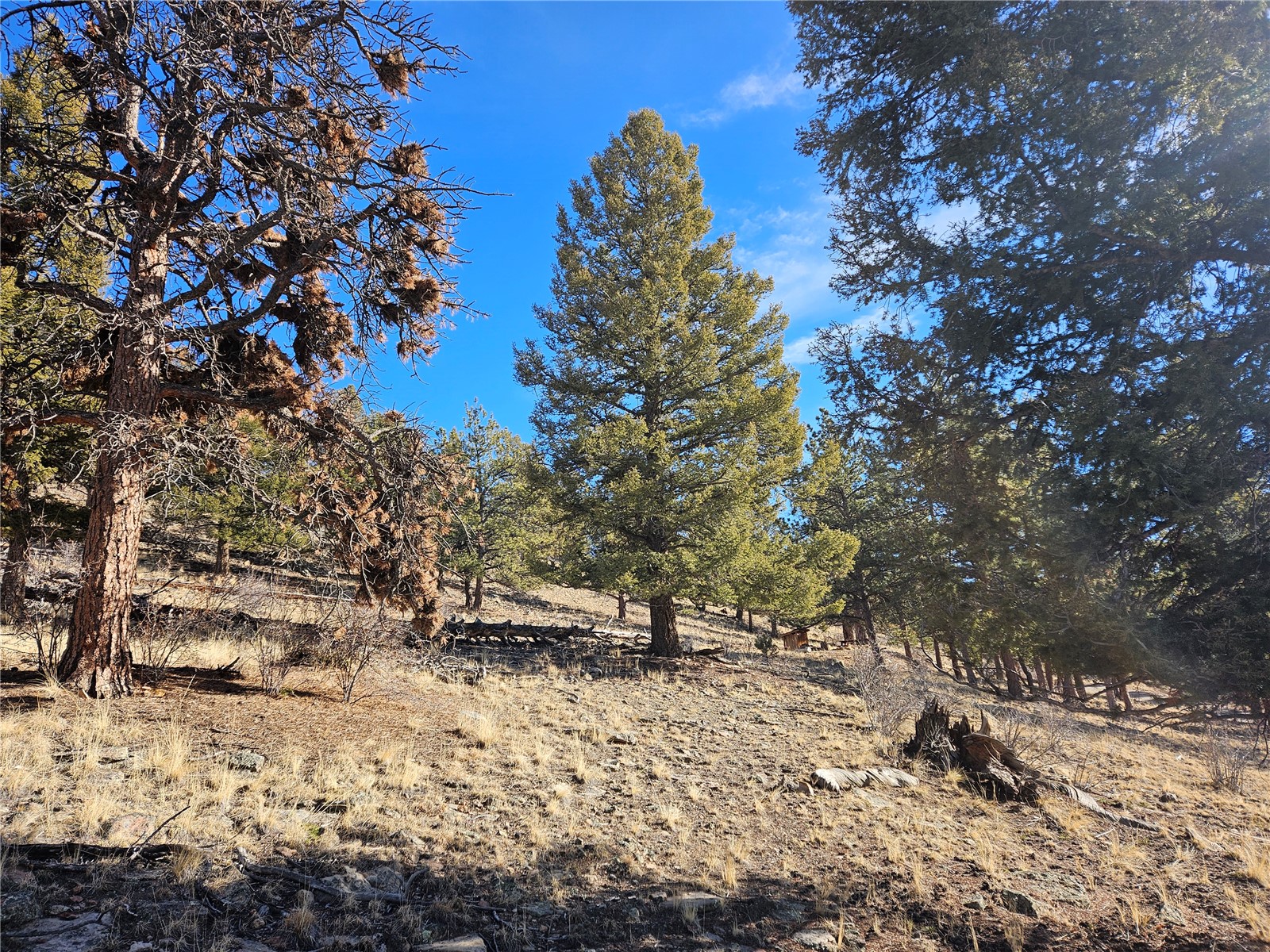 Lot 395 Bonell Drive Fairplay CO 80440
