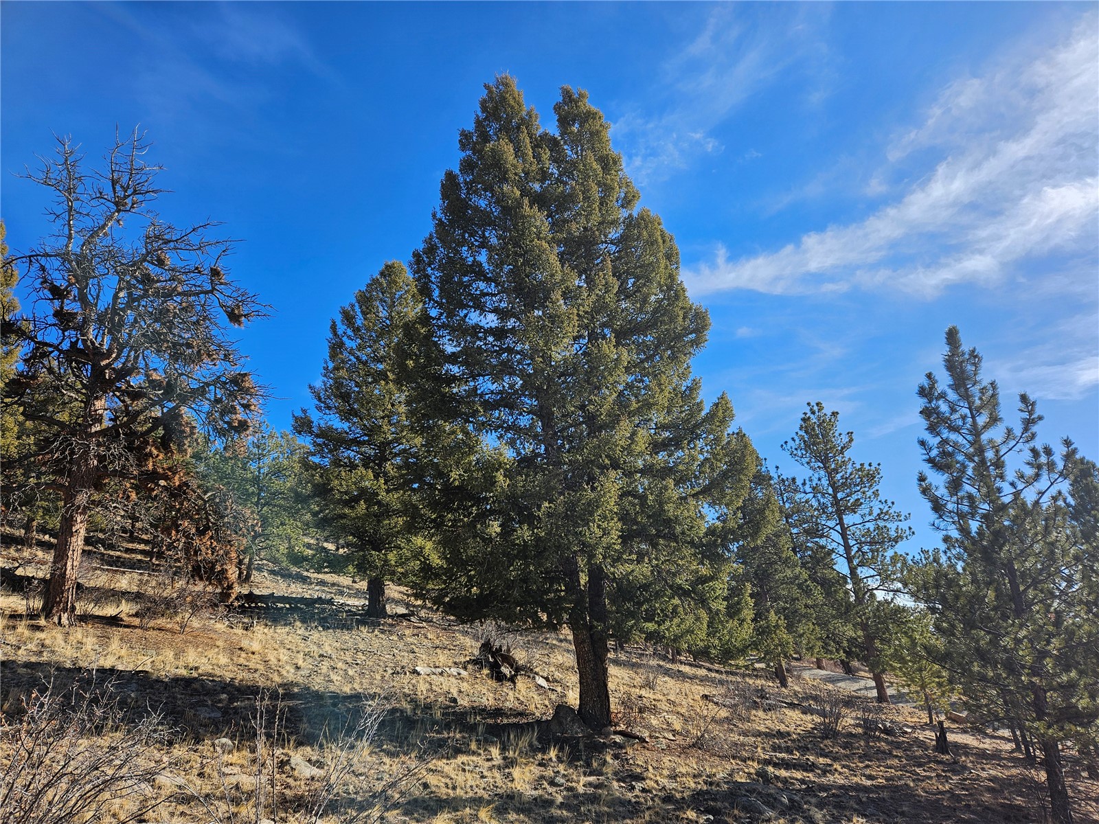 Lot 395 Bonell Drive Fairplay CO 80440