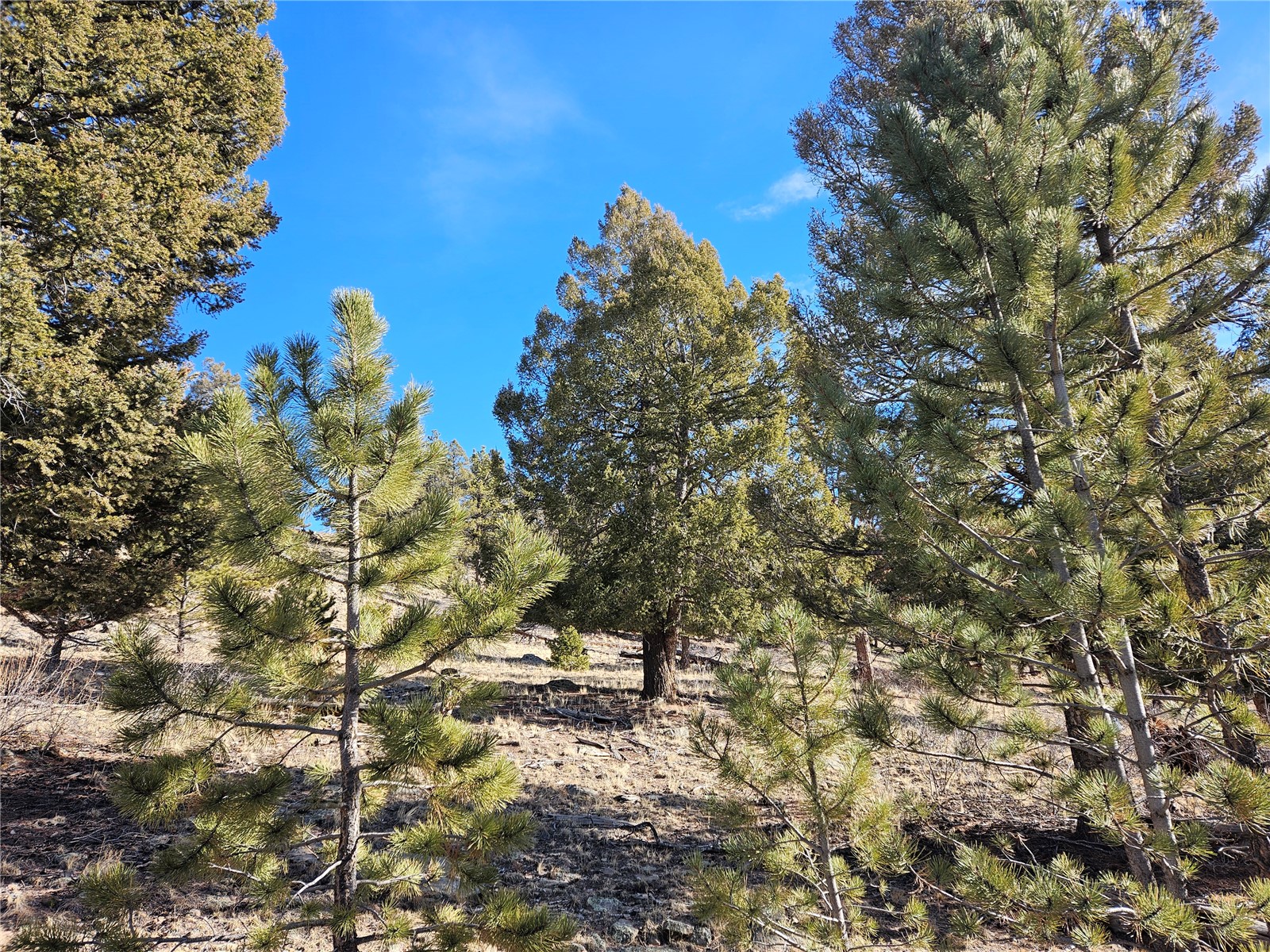 Lot 395 Bonell Drive Fairplay CO 80440