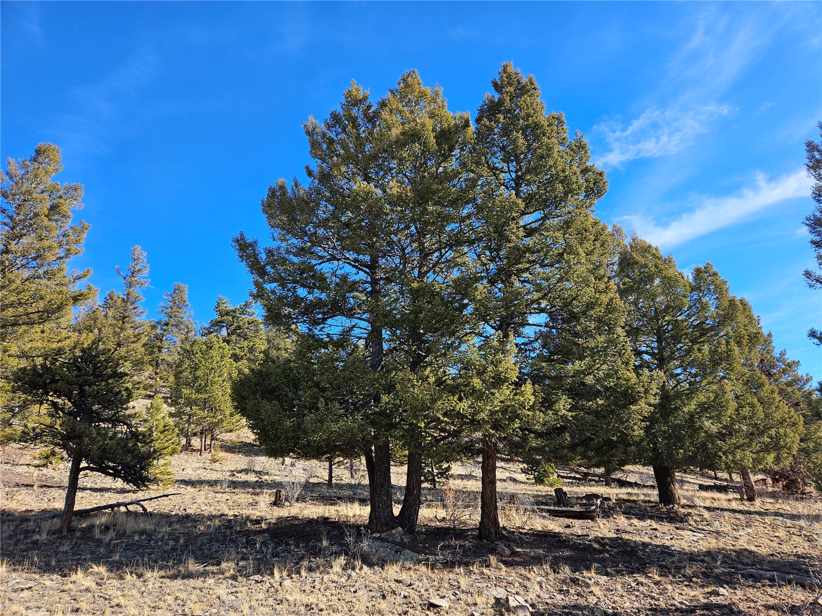 Lot 395 Bonell Drive Fairplay CO 80440