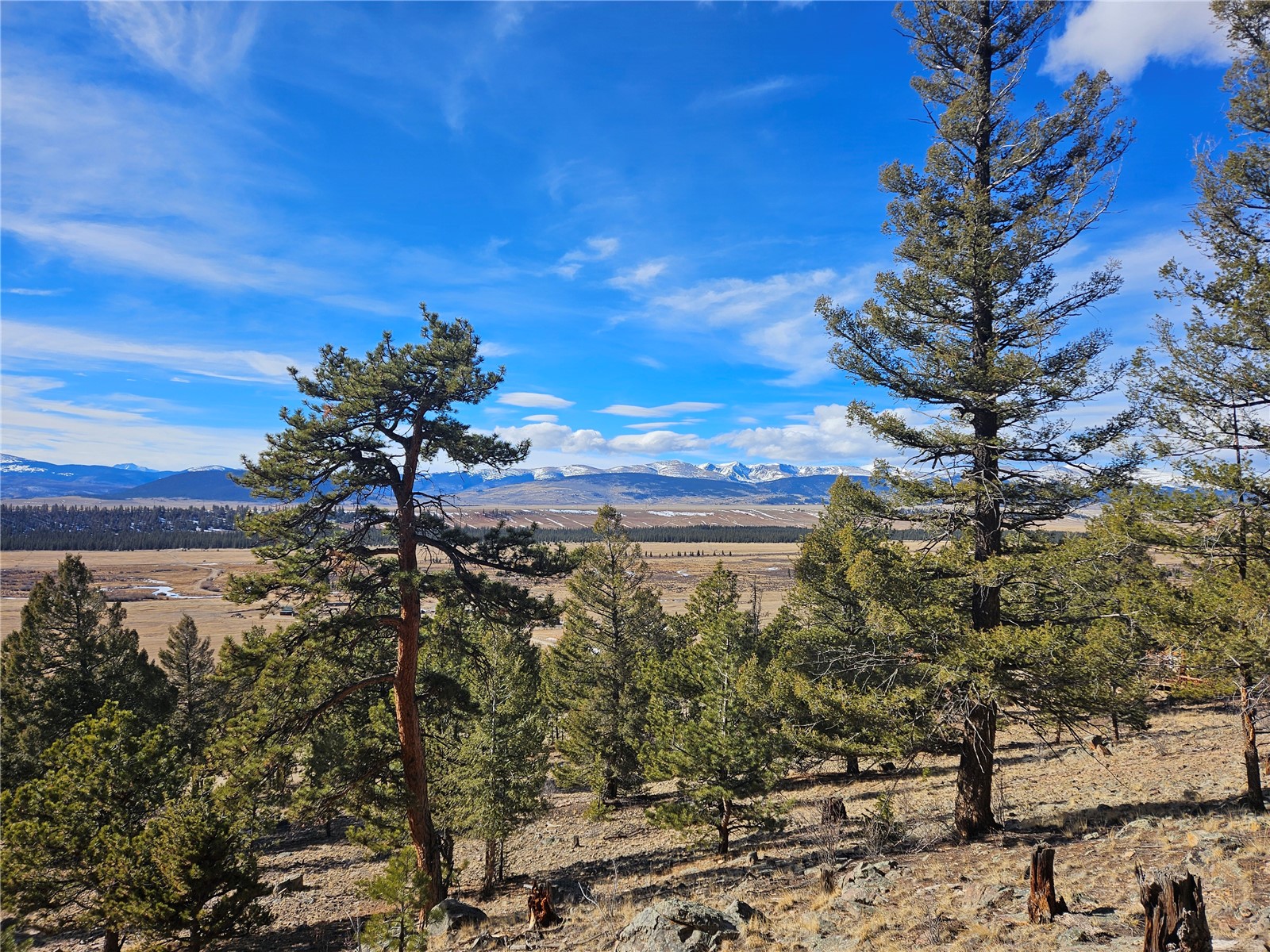 Lot 395 Bonell Drive Fairplay CO 80440
