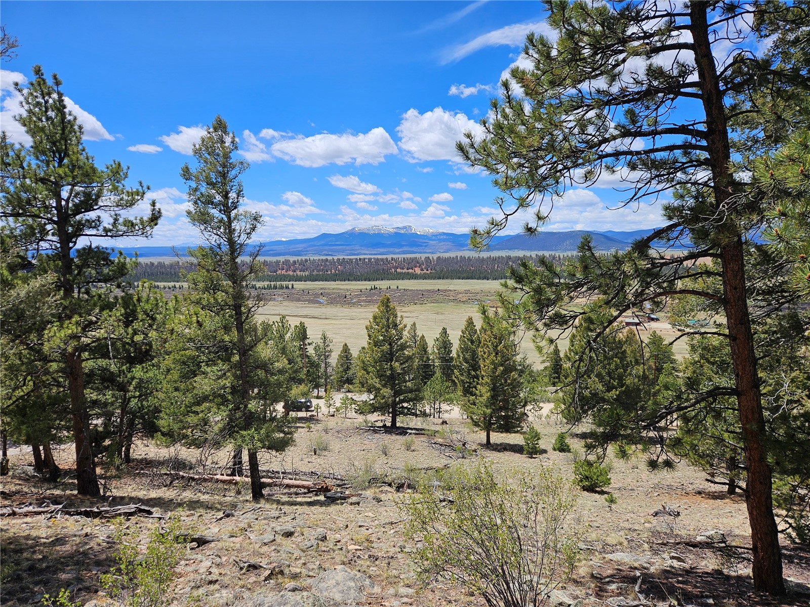 Lot 395 Bonell Drive Fairplay CO 80440