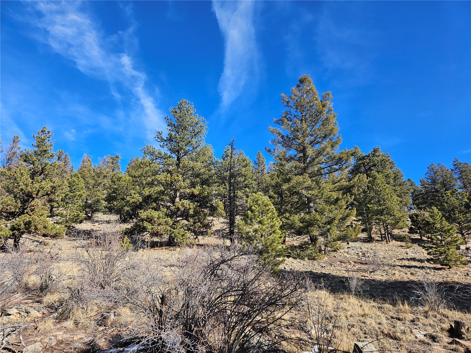 Lot 395 Bonell Drive Fairplay CO 80440