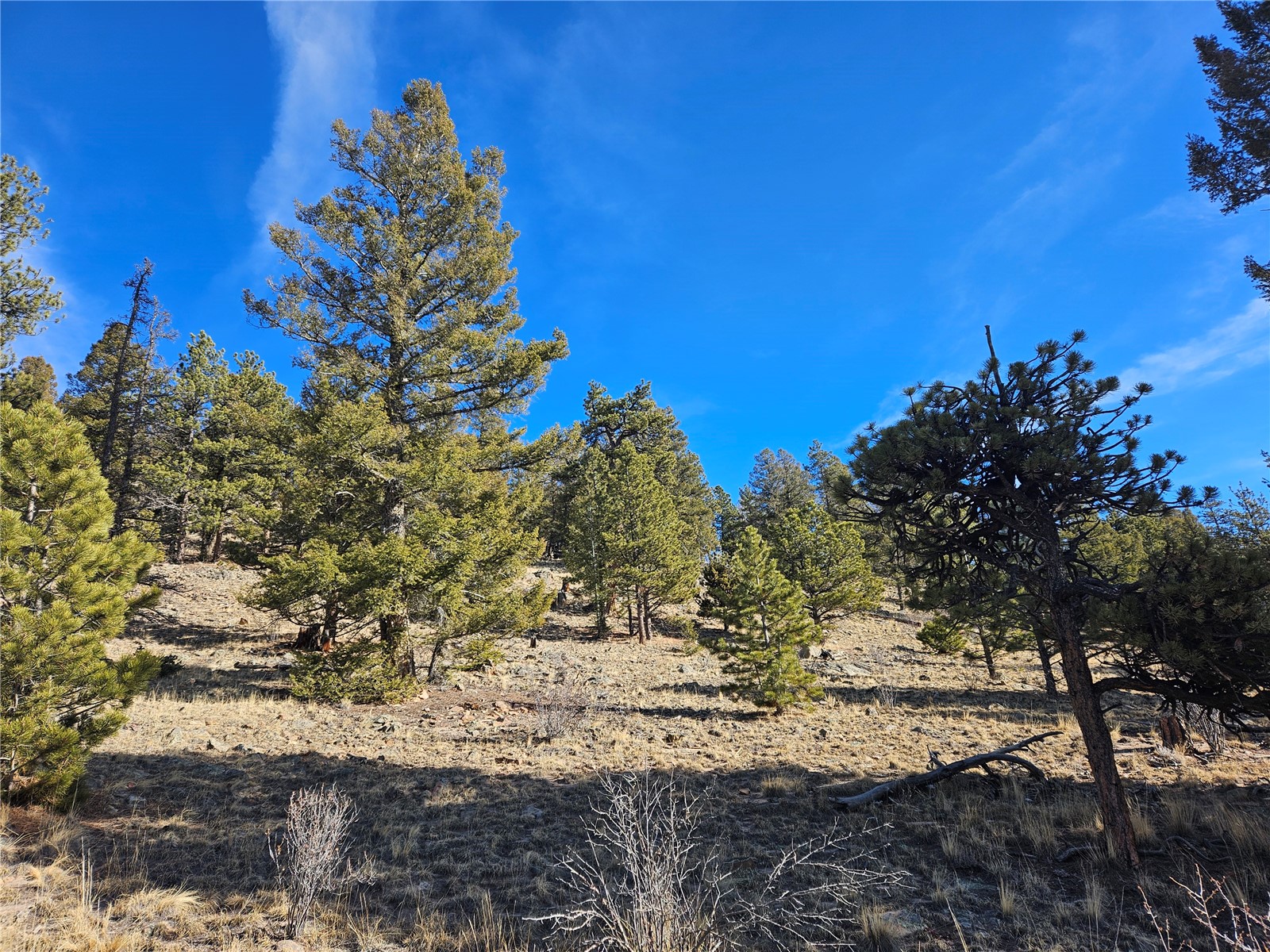 Lot 395 Bonell Drive Fairplay CO 80440