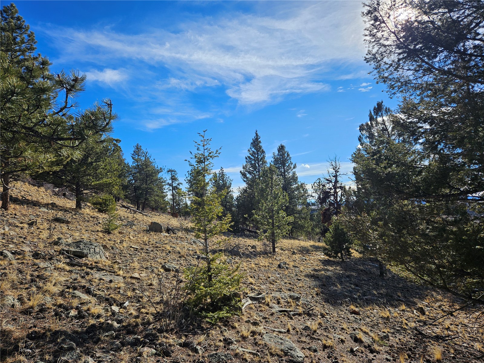 Lot 395 Bonell Drive Fairplay CO 80440