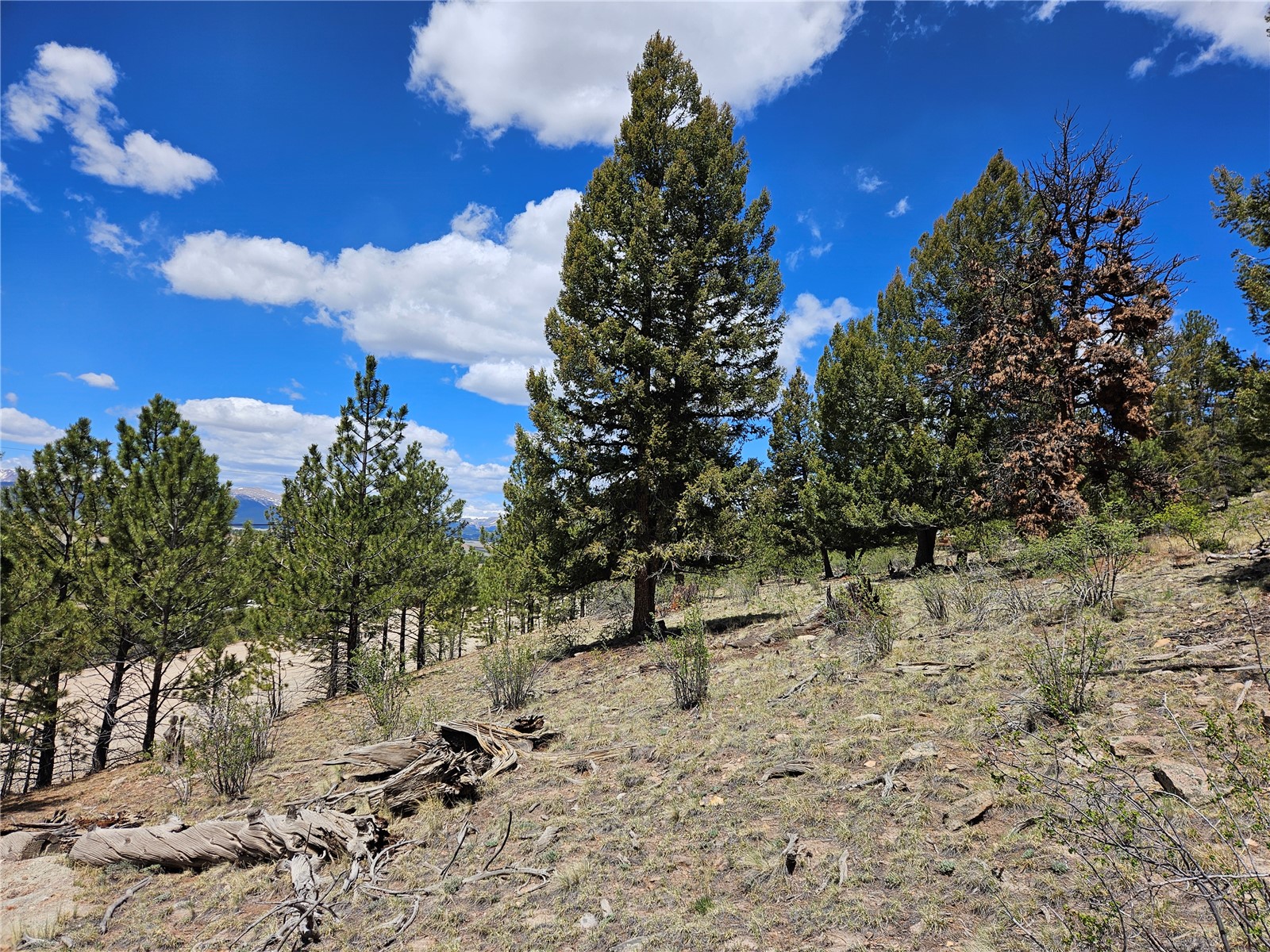 Lot 395 Bonell Drive Fairplay CO 80440