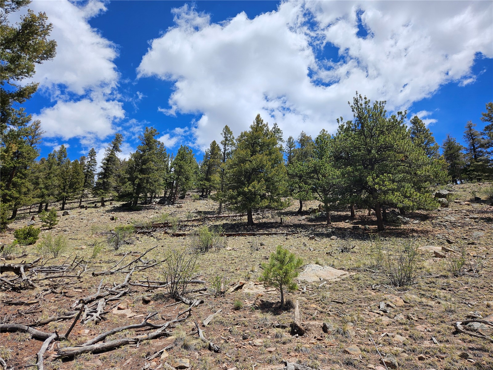 Lot 395 Bonell Drive Fairplay CO 80440